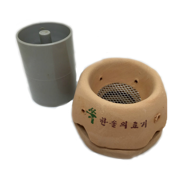 Moxibustion in a Clinical Setting: A Day of Theory & Practice