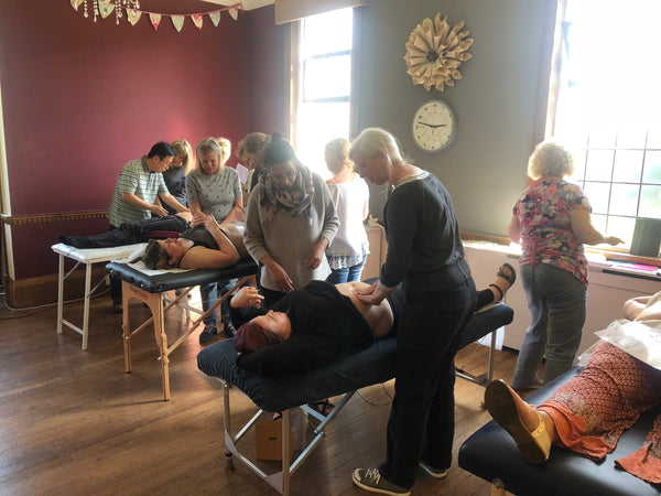 Introduction to Abdominal Acupuncture, Palpation & Diagnosis