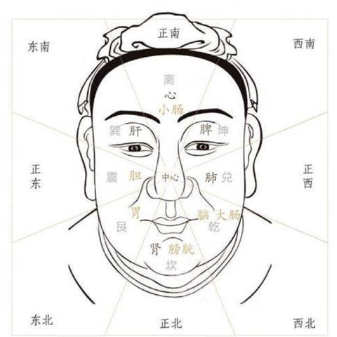 Face Reading & Facial Micro Systems for Diagnosis & Treatment
