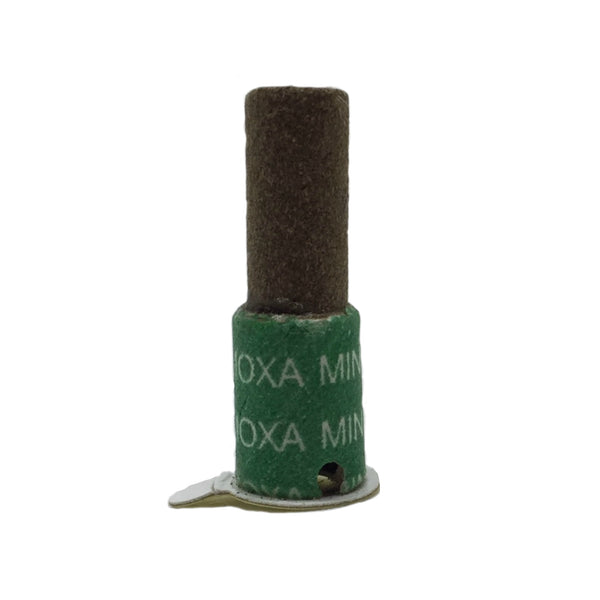 Moxibustion in a Clinical Setting: A Day of Theory & Practice