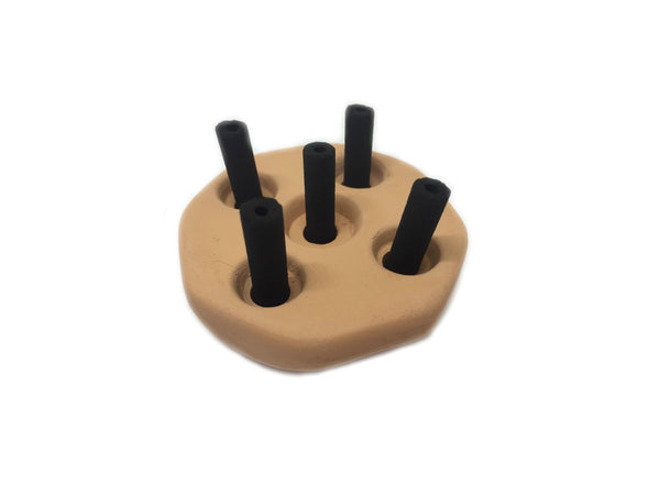 Moxibustion in a Clinical Setting: A Day of Theory & Practice