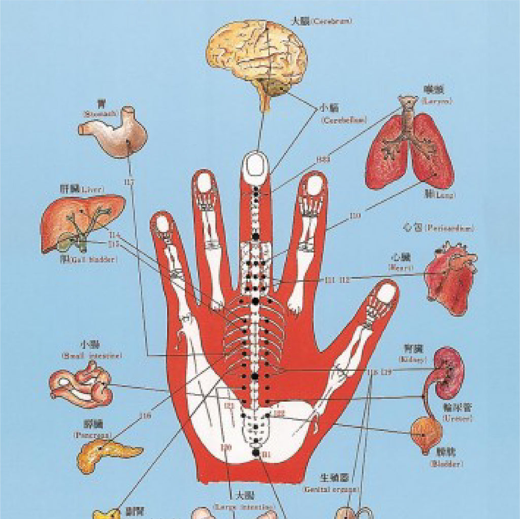 Introduction to Korean Hand Therapy