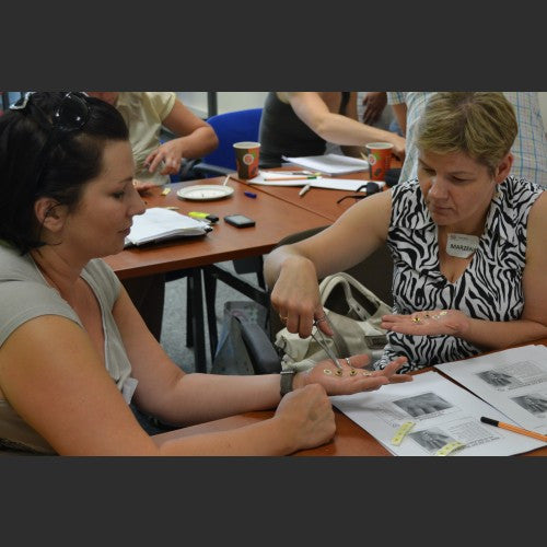 Korean Hand Therapy: Pre-natal Constitution Module
